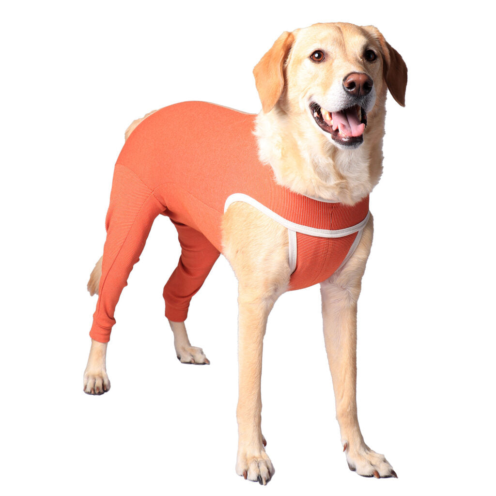 Body Cobre® 2X Posterior Postoperatorio