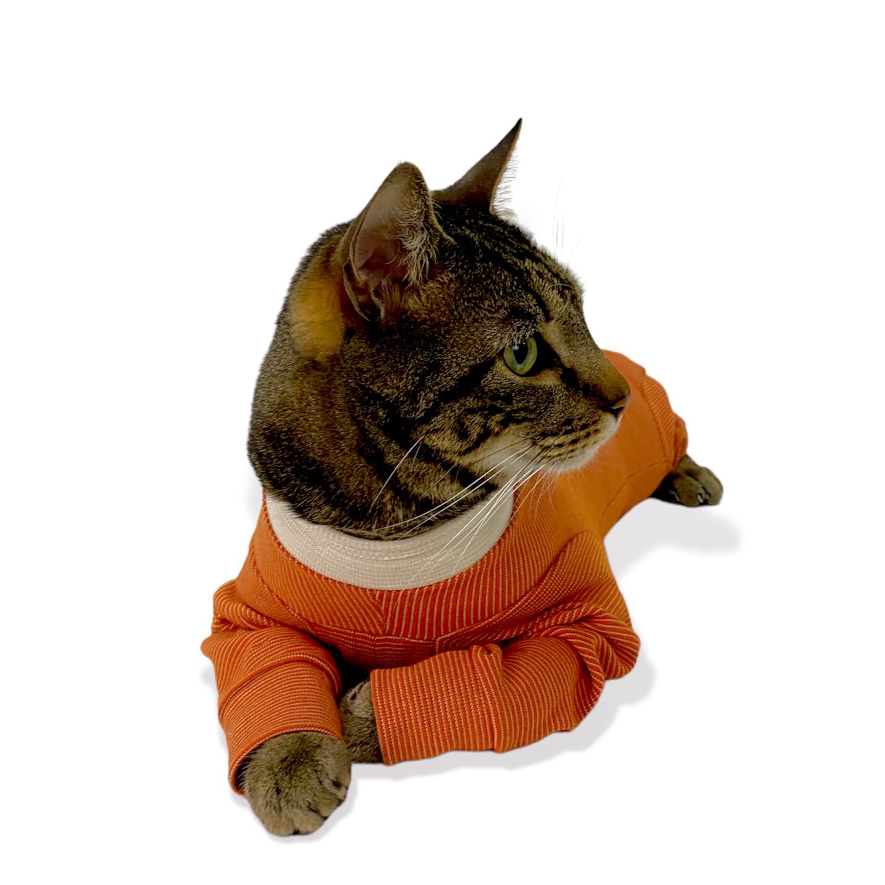 Body Cobre® 4X Completo Postoperatorio