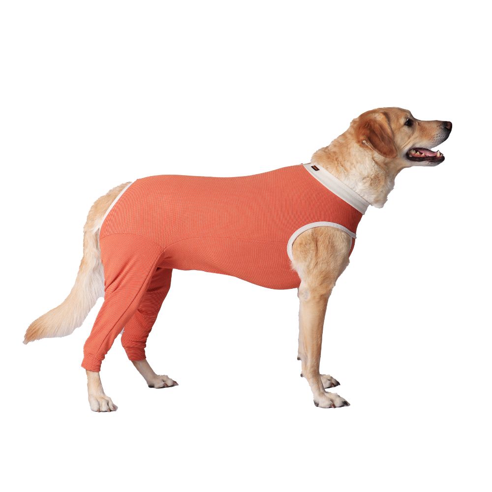 Body Cobre® 2X Posterior Postoperatorio