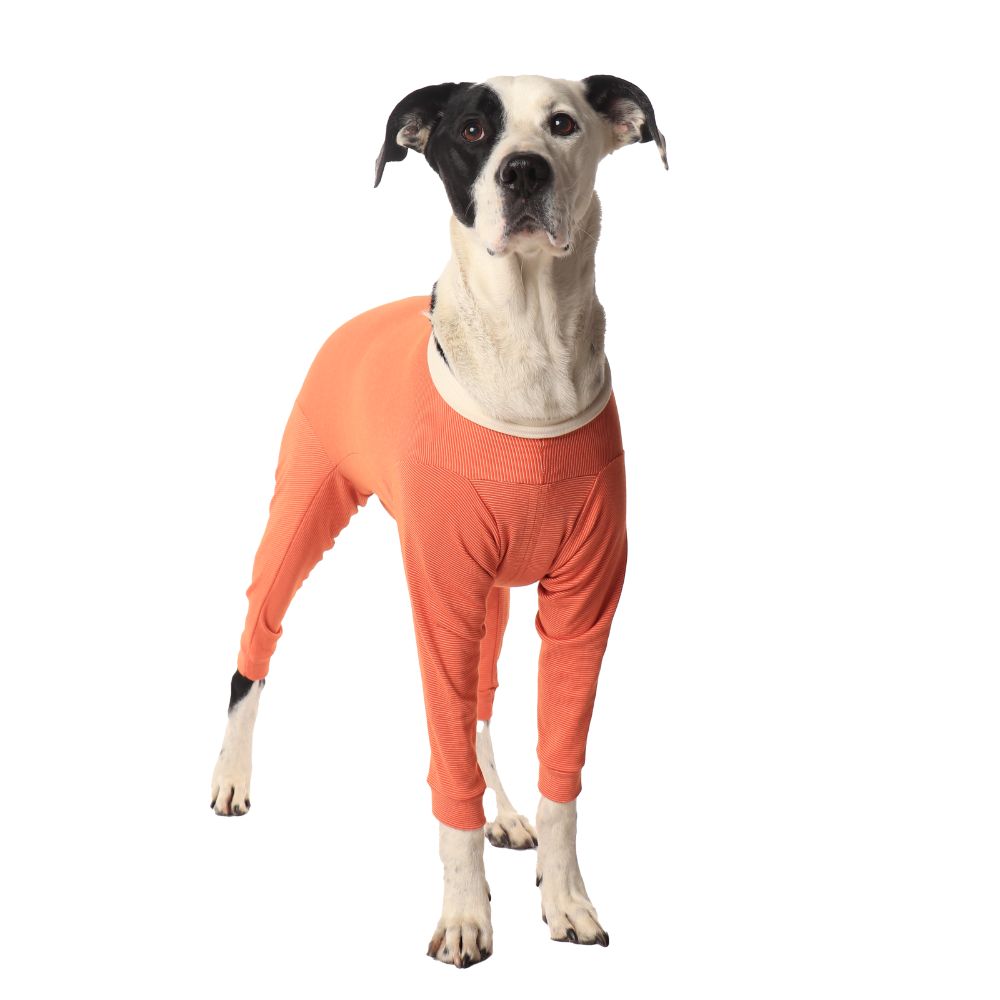 Body Cobre® 4X Completo Postoperatorio