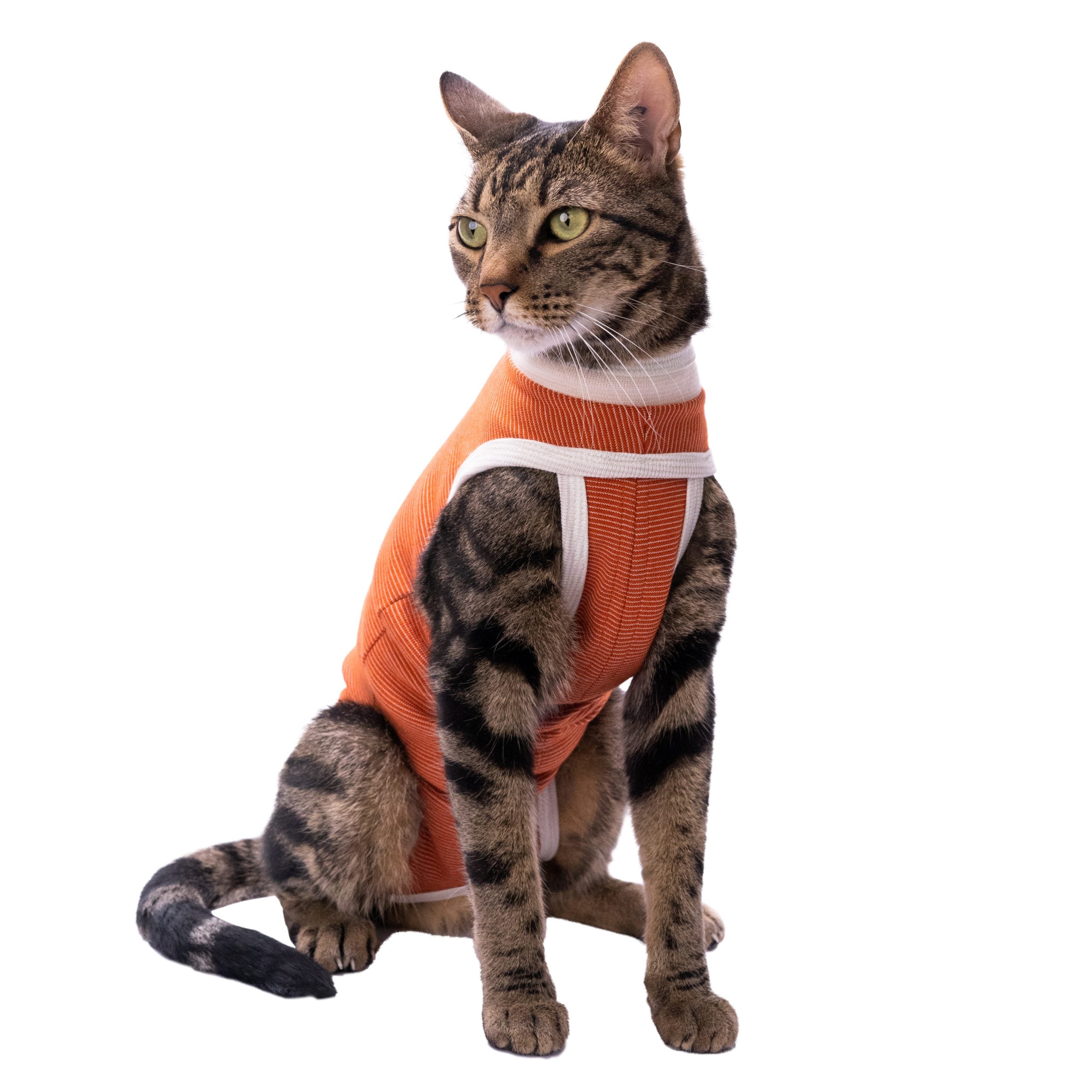 Body Cobre® Original Postoperatorio